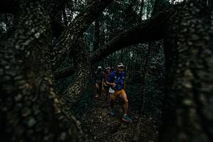 BIB: 
                            <button type="button" onclick="openModal(25690065)" class="btn btn-primary btn-sm float-right btn-popup" data-toggle="modal" data-target=".modal-high-quality">
                        <i class="fas fa-shopping-cart"></i> Add to Cart
                    </button>
                                            <button type="button" onclick="isThisMe(25690065, true)" class="btn btn-success btn-sm float-right btn-popup btn-isme hidden" data-toggle="tooltip" data-placement="bottom" title="นี่คือรูปของคุณใช่ไหม คลิกที่นี่เพื่อเอาเข้าอัลบั้ม">
                        <i class="fas fa-plus"></i> Add to album
                    </button>
                    <button type="button" onclick="isThisMe(25690065, false)" class="btn btn-warning btn-sm float-right btn-popup btn-isnotme hidden">
                        <i class="fas fa-ban"></i> Remove from album
                    </button>